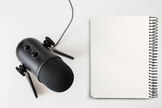 microphone